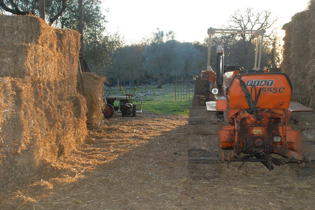 Podere Conte Racani Amelia Extérieur photo