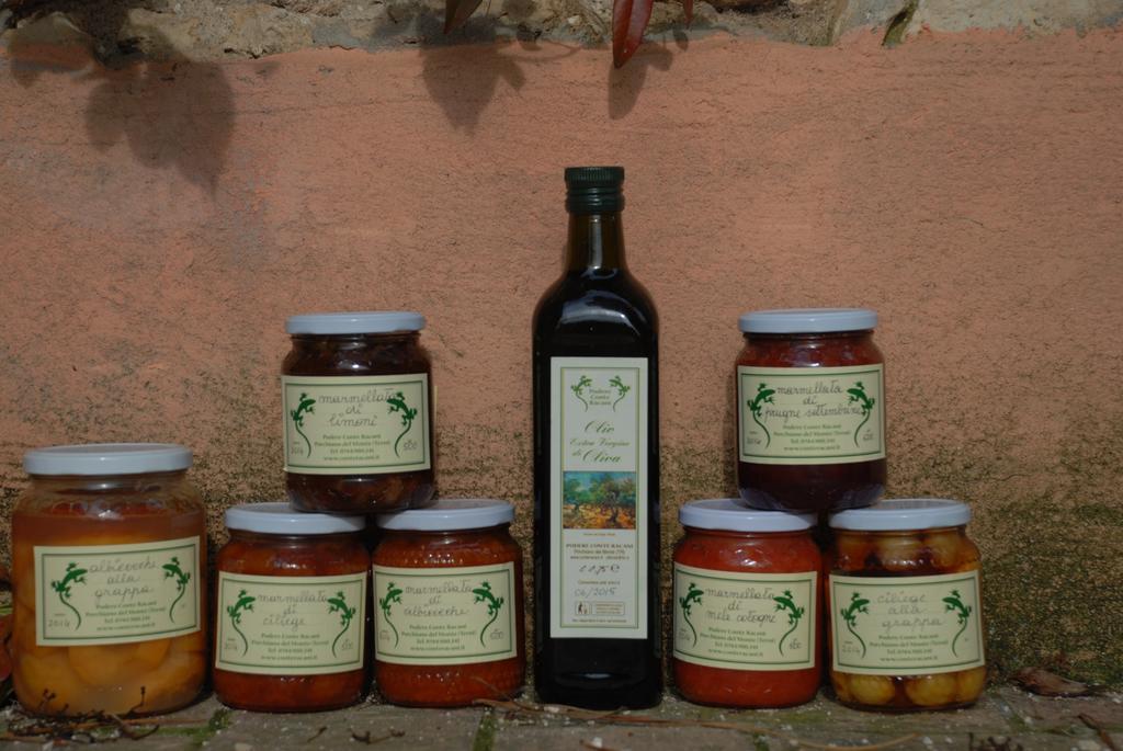 Podere Conte Racani Amelia Extérieur photo