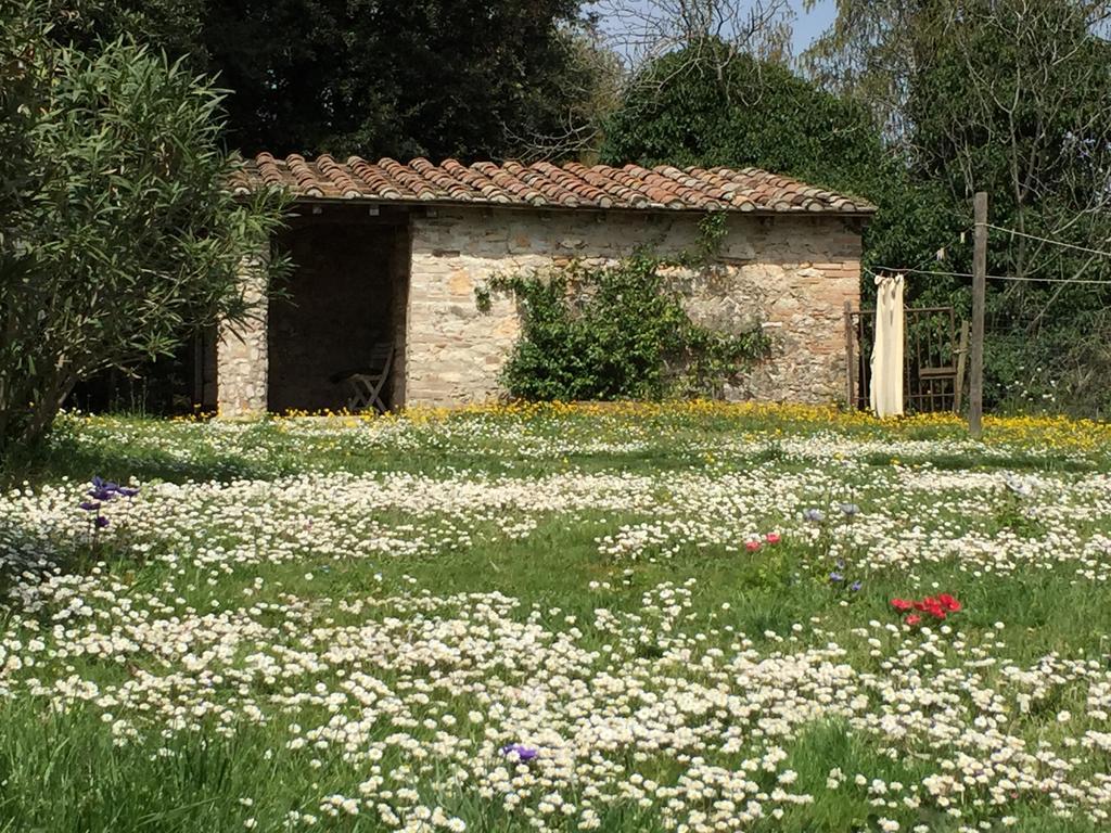 Podere Conte Racani Amelia Extérieur photo