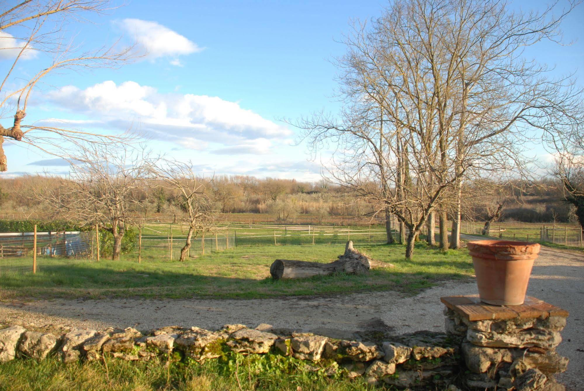 Podere Conte Racani Amelia Extérieur photo