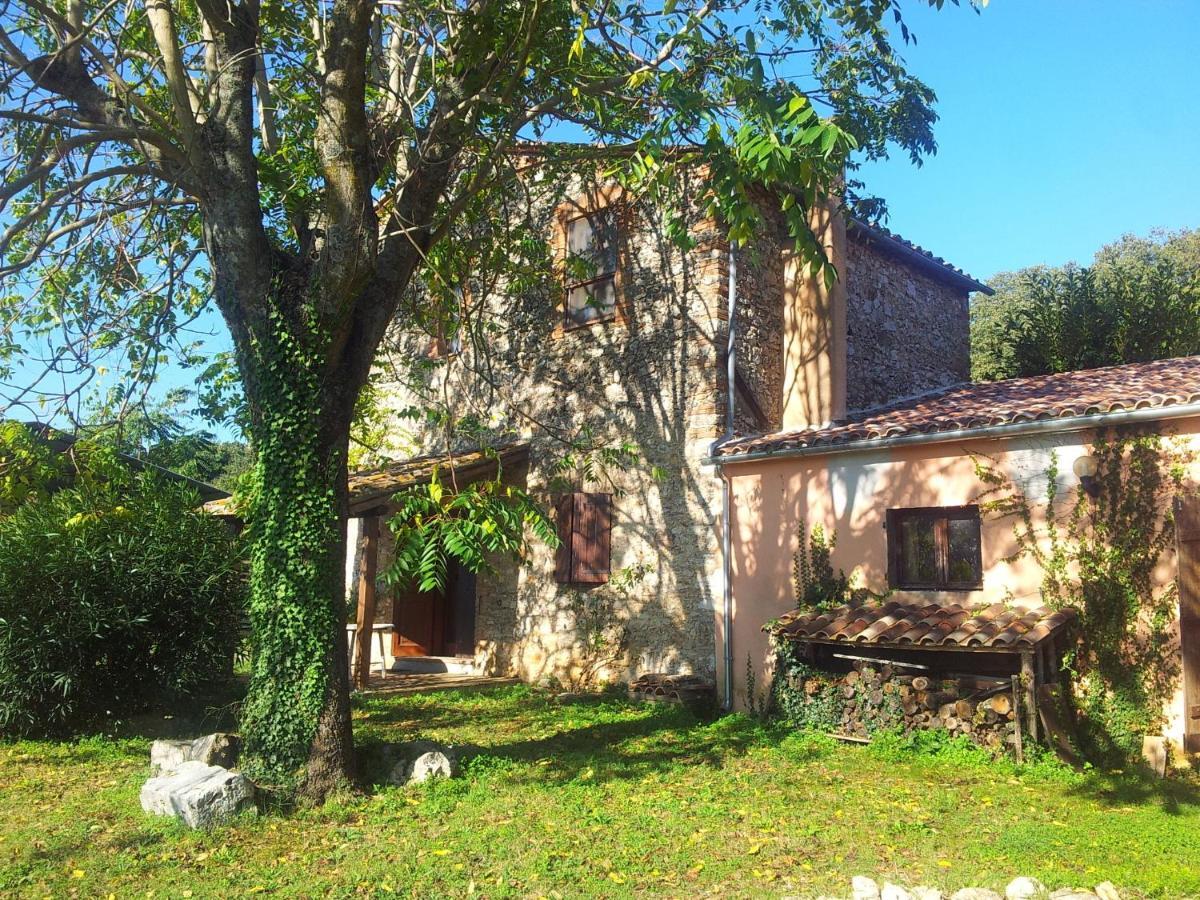 Podere Conte Racani Amelia Chambre photo